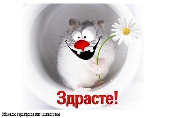 Здрасте! Как поживаете ?))