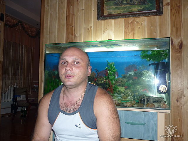всем привет