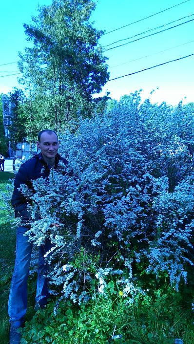 любовник для ваших утех .