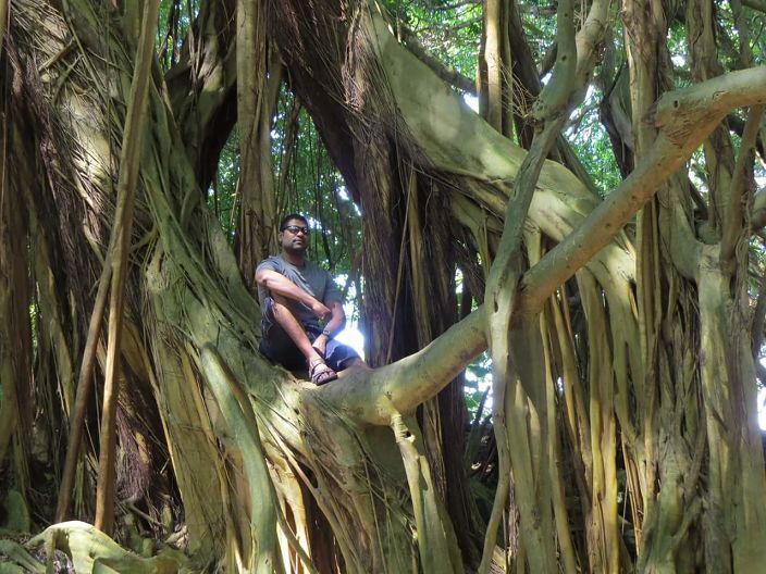 Me in a tree... an odd tree...