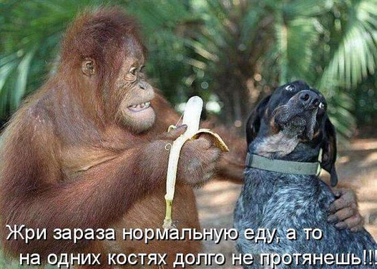 Ё МОЁ