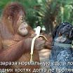 Ё МОЁ