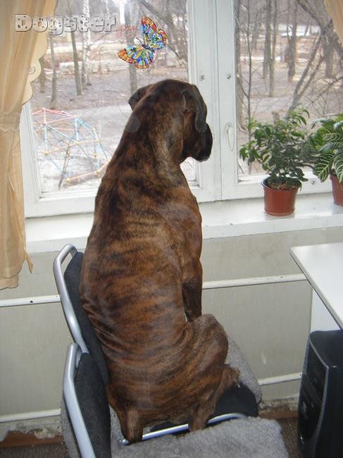 Скучаю