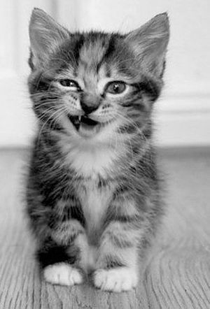 я еще лучше))