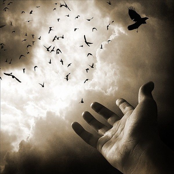 Личные фото