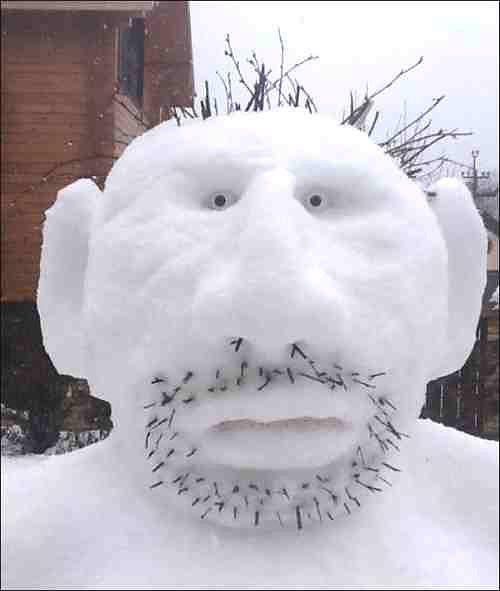 Не причесанный