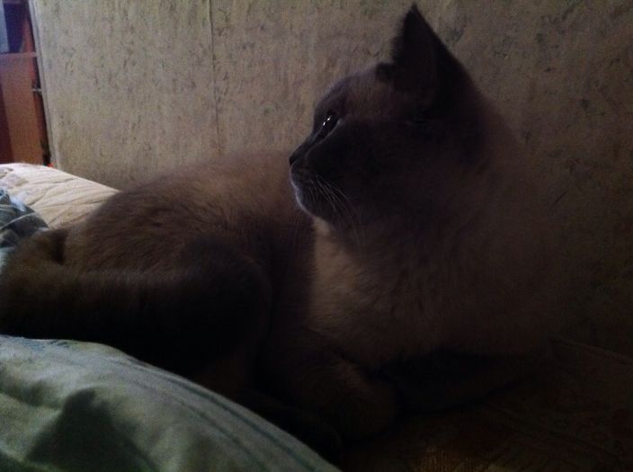 Я такой)