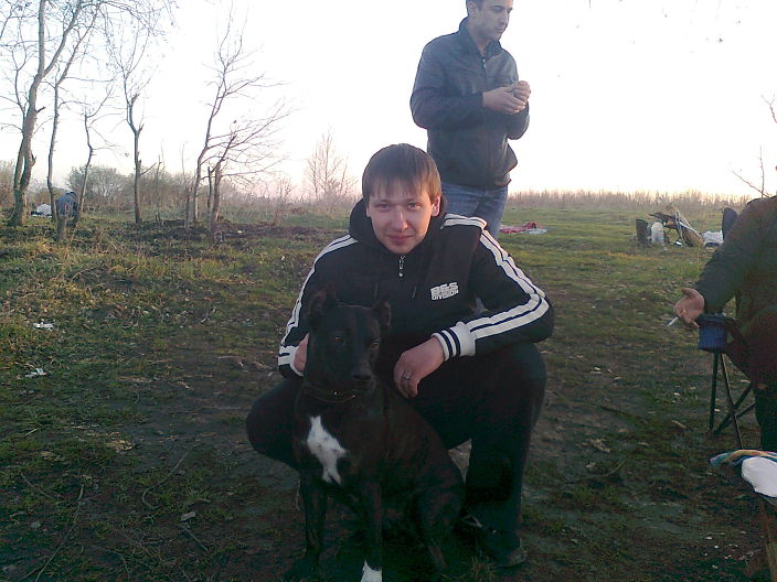 прпроллиммпитьб