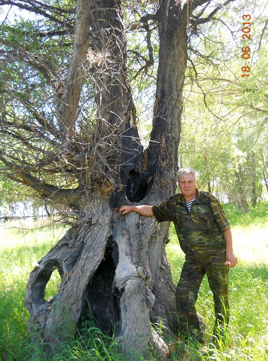 это я