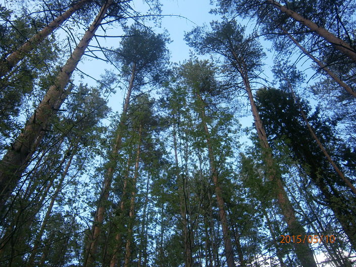 кайф