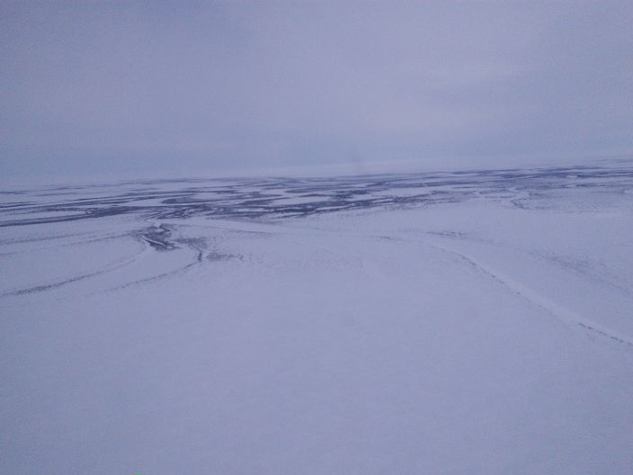 Хочу секса в тундре