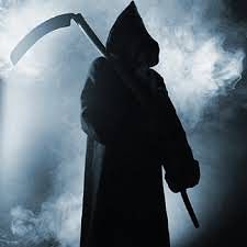 566