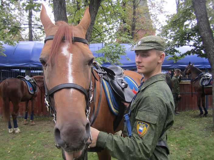 Боевой товарищ