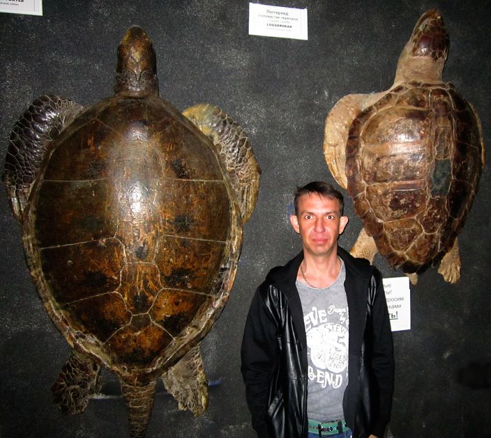 Я -Севастополец!