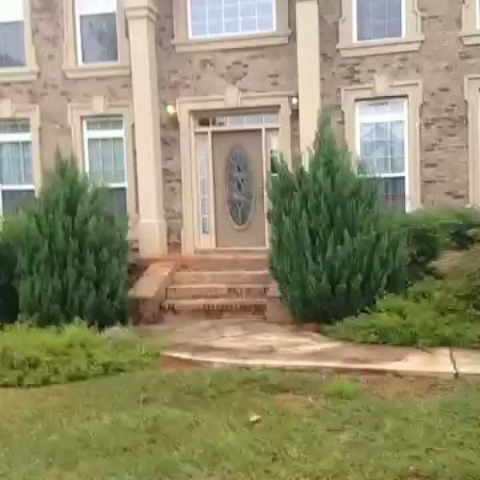 я и лошадь,я и бык,я и баба и мужик...