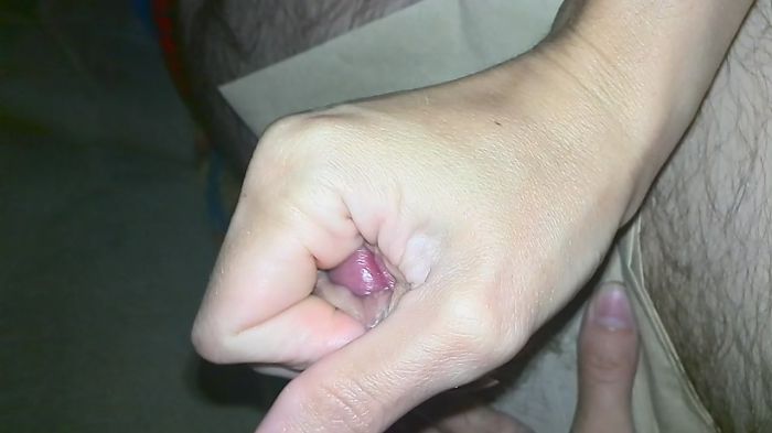 Домашнии игрушки